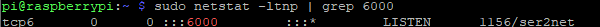 check result of ser2net